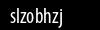 Biztonsági kód