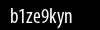 Biztonsági kód